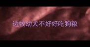 边牧幼犬不好好吃狗粮