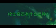 哈士奇还有什么品种