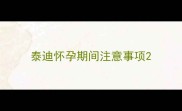 泰迪怀孕期间注意事项