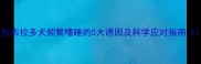拉布拉多犬频繁嗜睡的5大诱因及科学应对指南1