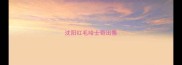 沈阳红毛哈士奇出售