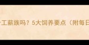 拉布拉多适合工薪族吗5大饲养要点附每日护理指南