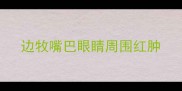 边牧嘴巴眼睛周围红肿