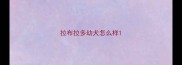 拉布拉多幼犬怎么样