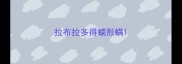 拉布拉多得蠕形螨