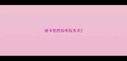 被卡住的拉布拉多犬