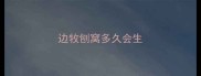 边牧刨窝多久会生