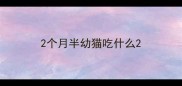 2个月半幼猫吃什么