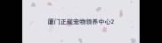 厦门正规宠物领养中心