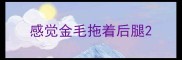 感觉金毛拖着后腿