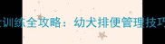 拉布拉多排泄训练全攻略幼犬排便管理技巧与常见误区