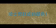 哈士奇肚皮的颜色