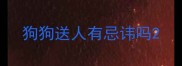 狗狗送人有忌讳吗