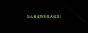 怎么鉴定狗狗狂犬疫苗