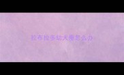 拉布拉多幼犬瘦怎么办