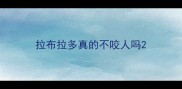 拉布拉多真的不咬人吗