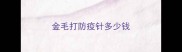 金毛打防疫针多少钱