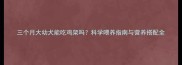 三个月大幼犬能吃鸡架吗科学喂养指南与营养搭配全