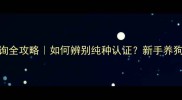 边牧出生纸查询全攻略如何辨别纯种认证新手养狗必看避坑指南