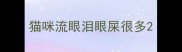 猫咪流眼泪眼屎很多