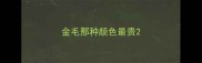 金毛那种颜色最贵
