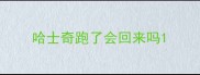 哈士奇跑了会回来吗