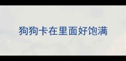 狗狗卡在里面好饱满