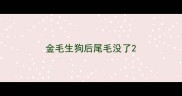 金毛生狗后尾毛没了
