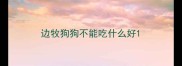 边牧狗狗不能吃什么好