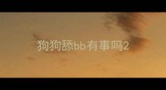 狗狗舔bb有事吗