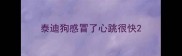 泰迪狗感冒了心跳很快