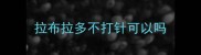 拉布拉多不打针可以吗