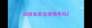 娃娃鱼能当宠物养吗