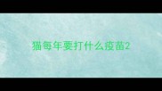 猫每年要打什么疫苗