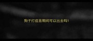 狗子打疫苗期间可以出去吗