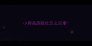 小狗高烧呕吐怎么回事