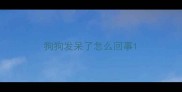 狗狗发呆了怎么回事