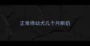 正常得幼犬几个月断奶