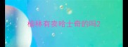 榆林有卖哈士奇的吗