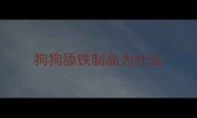 狗狗舔铁制品为什么