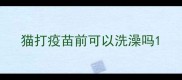 猫打疫苗前可以洗澡吗