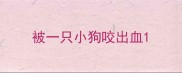 被一只小狗咬出血