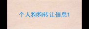 个人狗狗转让信息