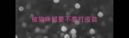 被猫咪抓要不要打疫苗