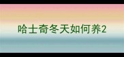 哈士奇冬天如何养