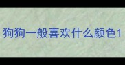 狗狗一般喜欢什么颜色