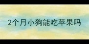 2个月小狗能吃苹果吗