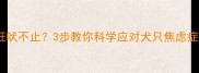 哈士奇被关阳台狂吠不止3步教你科学应对犬只焦虑症附饲养指南