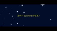 猫咪打疫苗最好去哪里