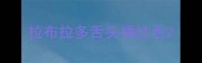 拉布拉多舌头橘红色